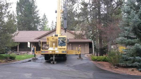 Spring River Tree Service