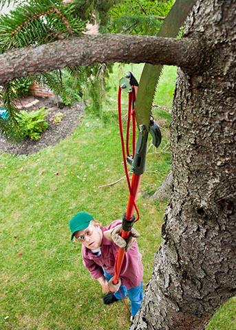 Spring River Tree Service