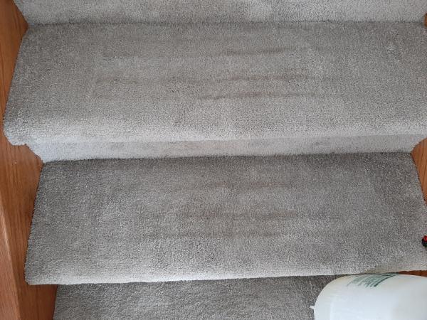 Ajax Carpet Service