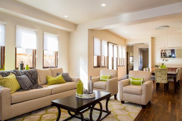 Pineapple Interiors
