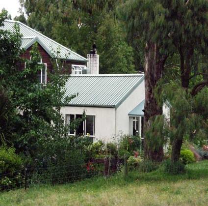 Quigley Attic Mold Remediation Contractors