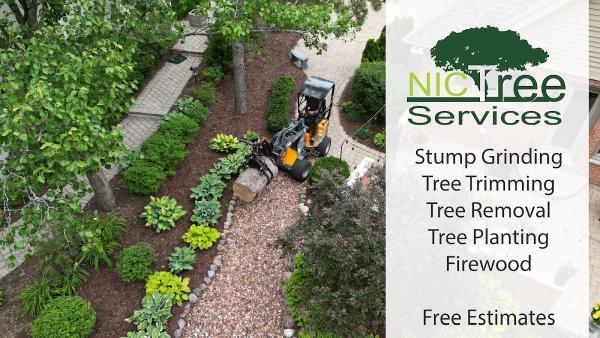 NIC Tree Services