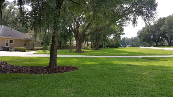 Evergreen Lawn Care