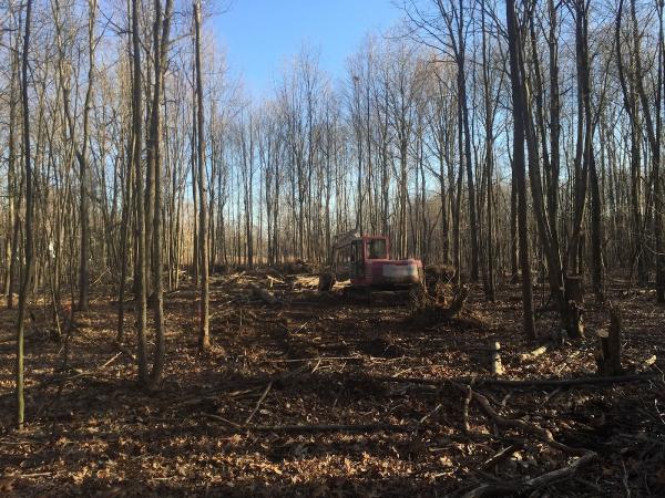 Sergeant & Sons Septic and Excavating