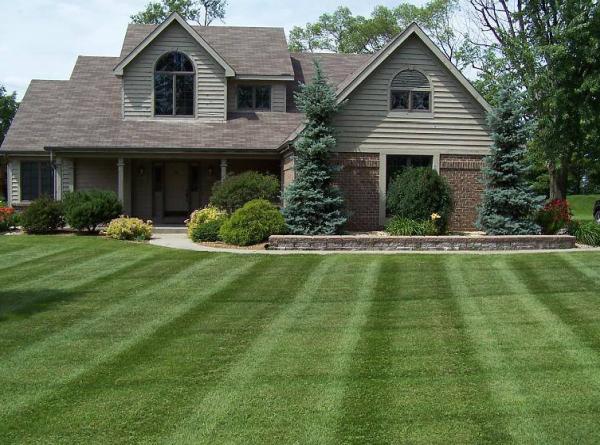 Pacific Lawn & Pest