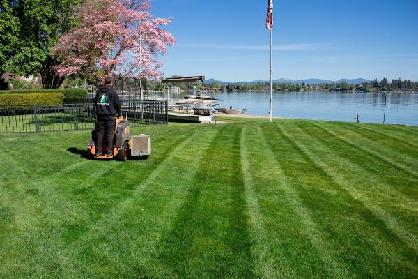 Pacific Lawn & Pest