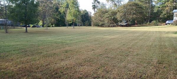 Peachstate Pro Lawn LLC