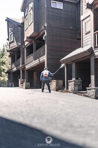 True Blue Pest Control