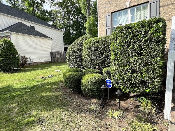 Little Leaf Lawn Care
