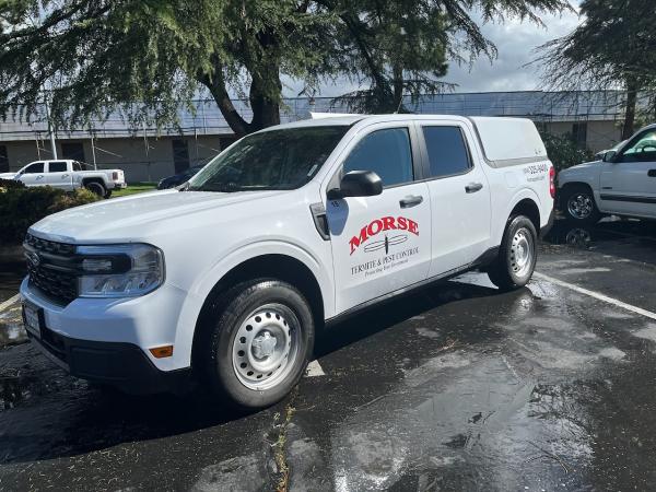 Morse Termite & Pest Control