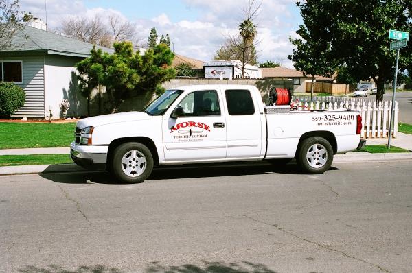 Morse Termite & Pest Control