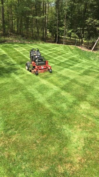 Arcadian Greens
