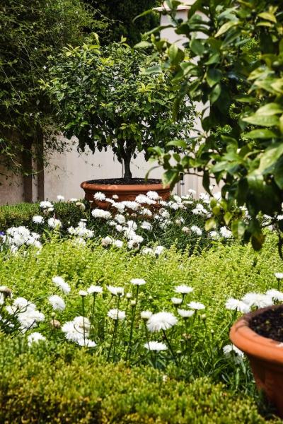 Proactive Landscaping