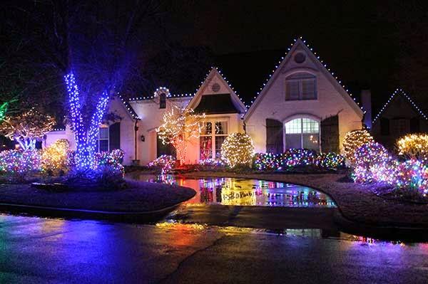 Proactive Landscaping