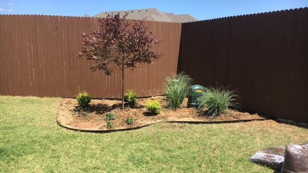 Proactive Landscaping