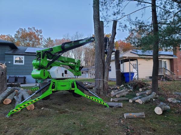 Branching Out Tree Care LLC