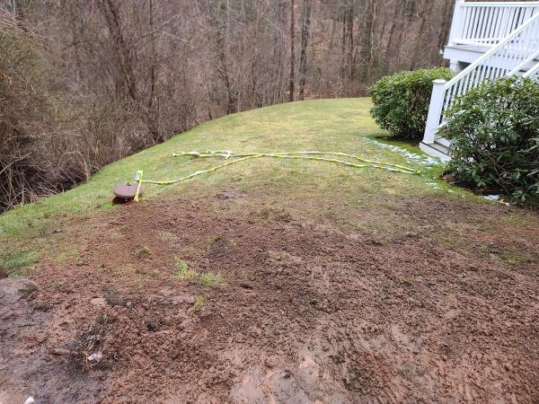 Branching Out Tree Care LLC