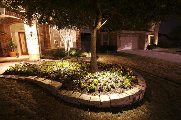 Unique Outdoor Illumination & Mosquito Pros