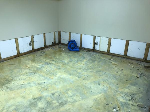 Action Restoration & Property Services