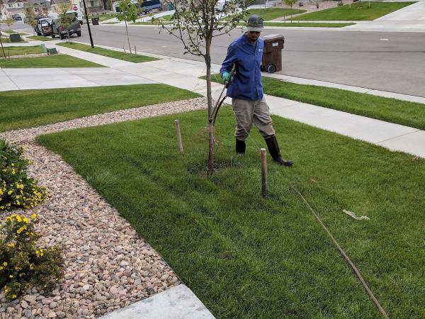 American Turf & Tree Care