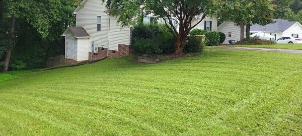 Chef's Cut Lawn Care