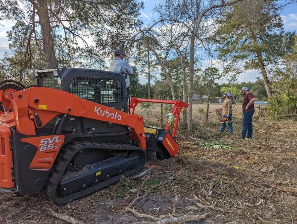 Deland Land Clearing
