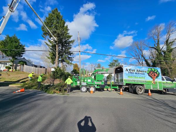 A Cut Above Tree Service