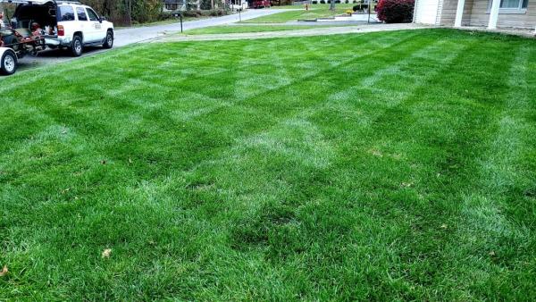 Sharp Blade Lawn Care and Landscaping