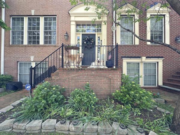 Ecoshield Pest Solutions