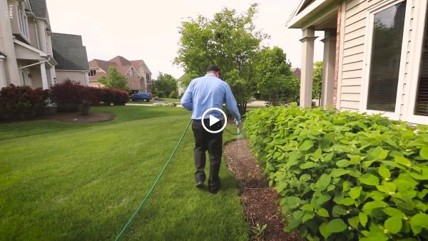 Ecoshield Pest Solutions