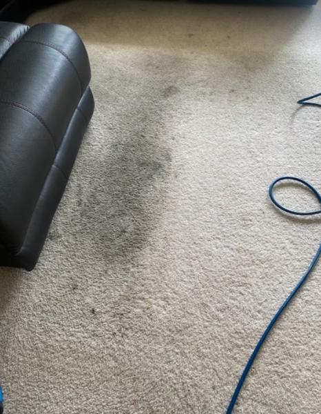 ANO Carpet Cleaning