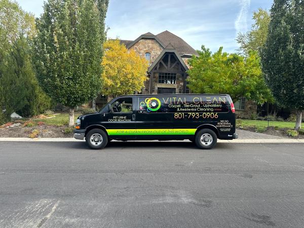 Vital Clean Carpet Cleaning