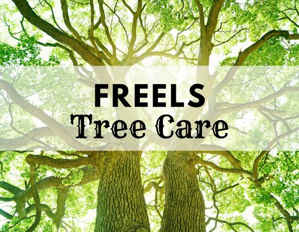 Freels Tree Care