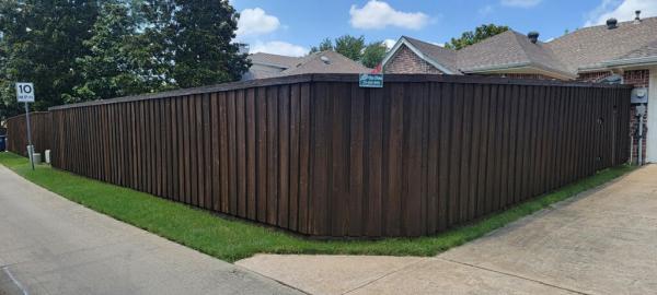 Stain D Fence