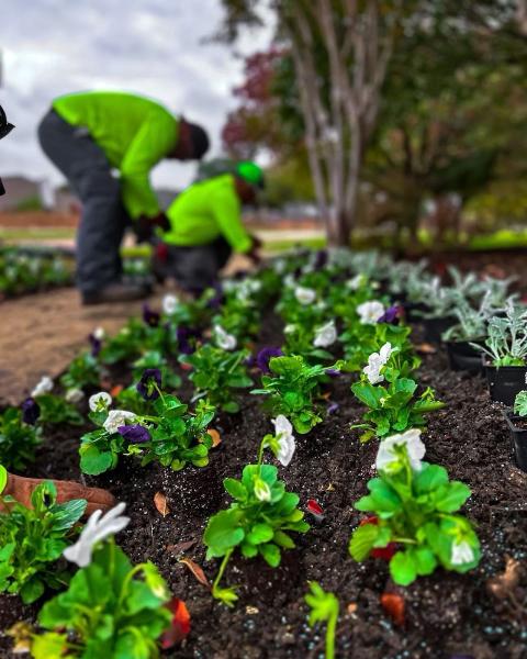 Clients First Landscape Solutions