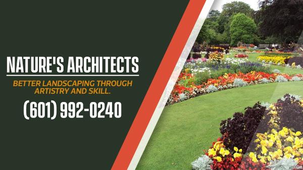 Pro-Lawn Landscape & Maintenance