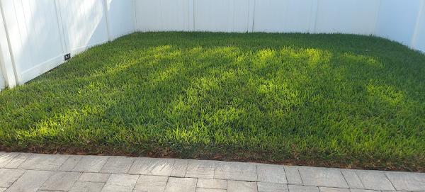 Termite and Pest Control & Dryer Vent Cleaning Services Orlando