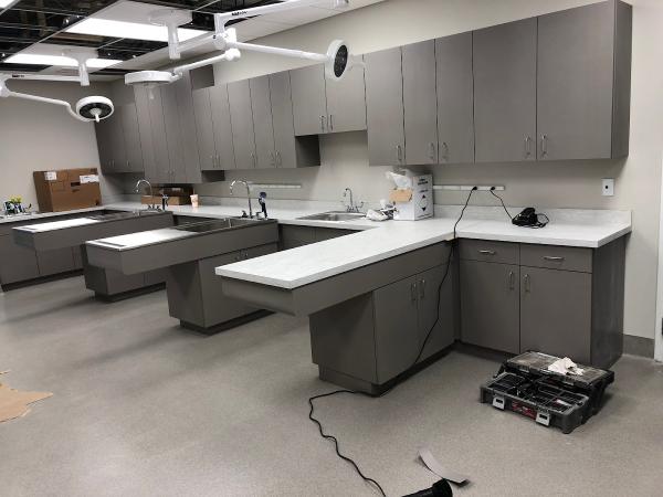 Dcourts Cabinets LLC