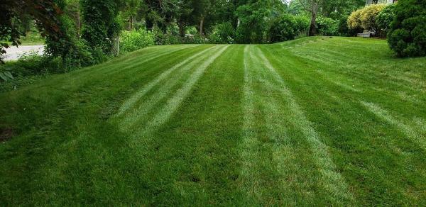 Andy's Lawn Care