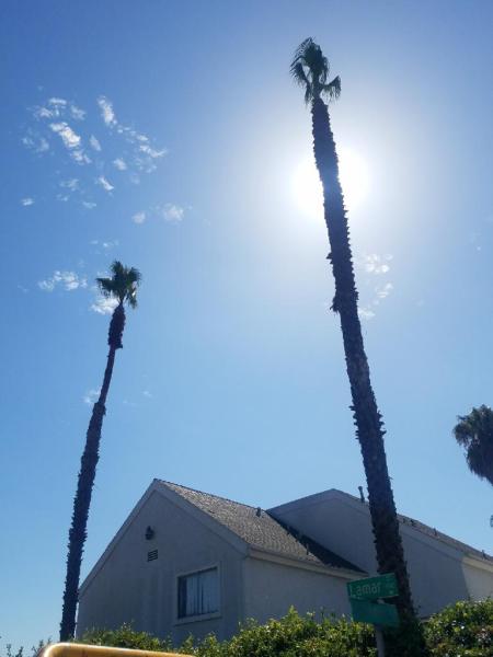 Charles Tree Service