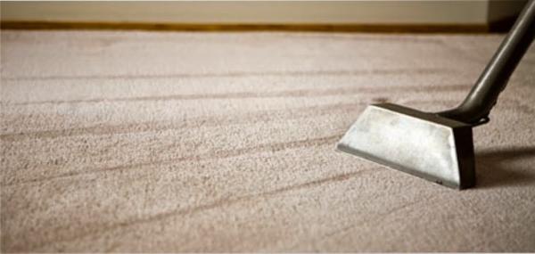 H&D Carpet & House Cleaning Services