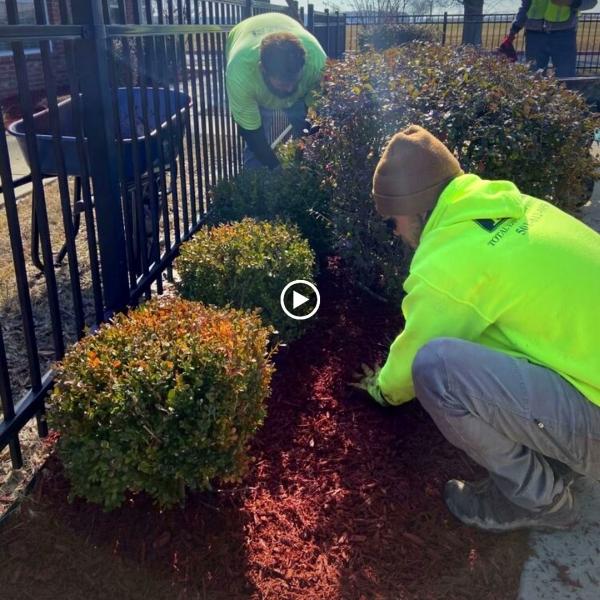 TLS Lawn Care & Fertilization Services