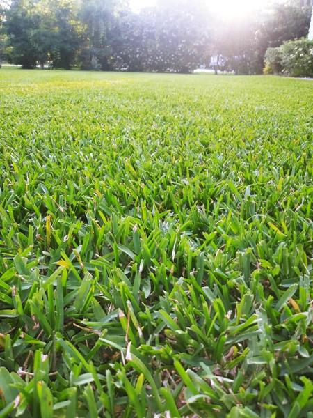 Heritage Lawn & Landscape Services