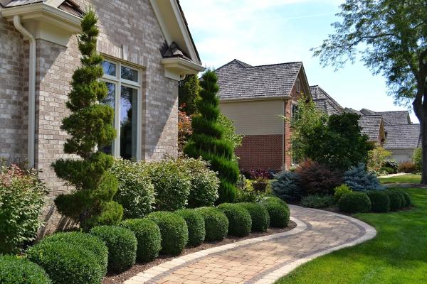 George Cardenas Landscape