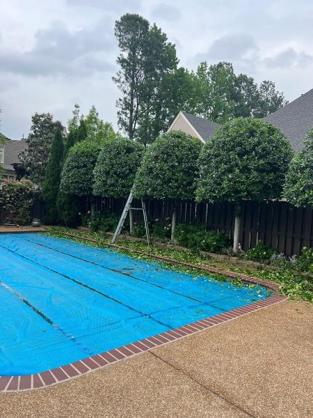 Rivera Lawncare and Landscaping