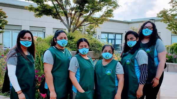 Professional Eco Cleaning LLC