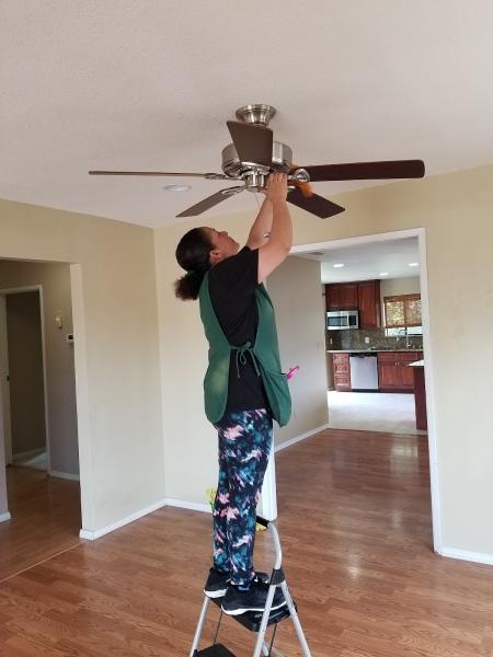 Professional Eco Cleaning LLC