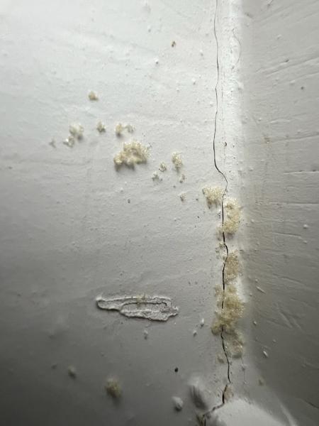A North Texas Termite Specialist
