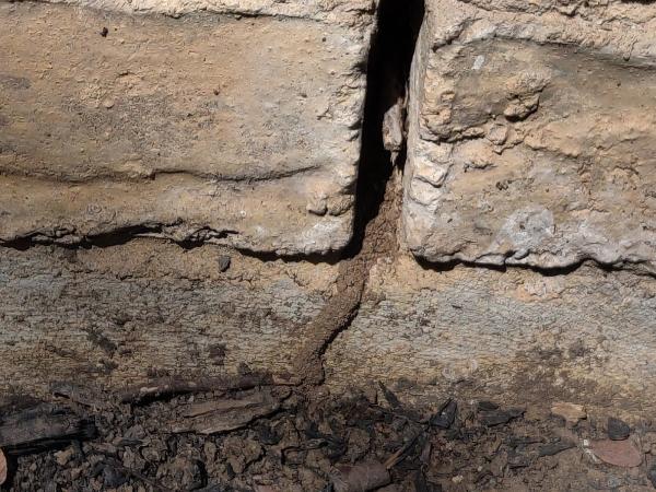 A North Texas Termite Specialist