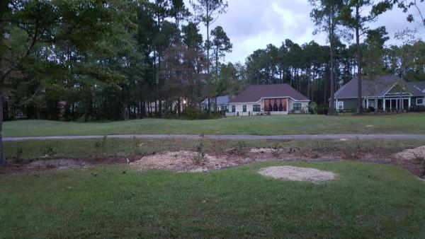 Extreme Tree Removal Myrtle Beach